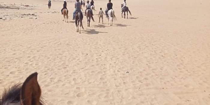 Balade à cheval dans le désert (COMPLET)