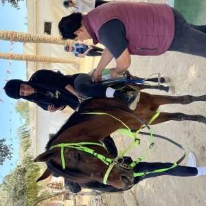 Balade à cheval dans le désert de Saqqarah