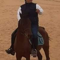 Balade à cheval dans le désert de Saqqarah 
