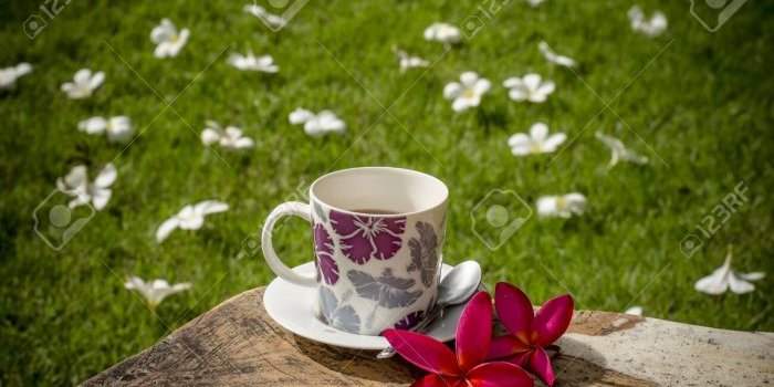 Pause-café estivale !