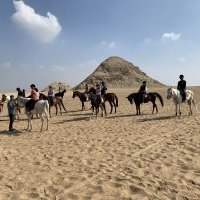 Balade à cheval dans le désert, suivie d'un déjeuner 