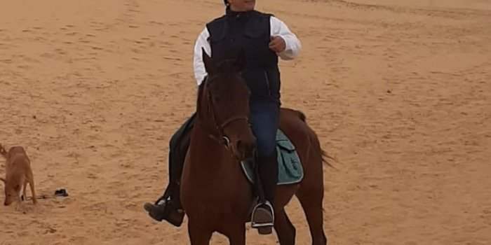 Balade à cheval dans le désert de Saqqarah 