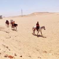 Balade à cheval 