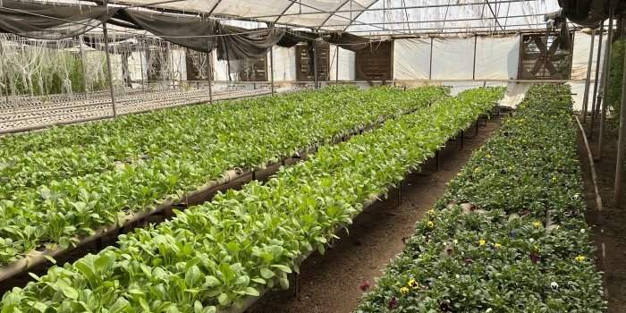 Visite de la ferme MAKAR FARMS