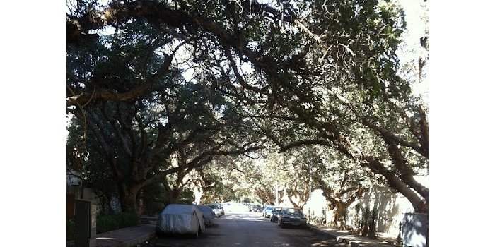 Marche découverte : Maadi Sud