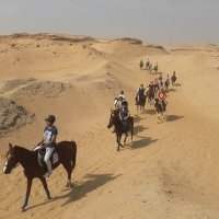 Balade à cheval dans le désert de Saqqarah [Complet]