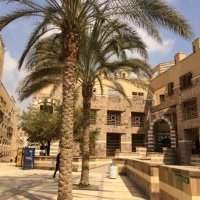 Visite du campus de l'Université Américaine au Caire - Reporté