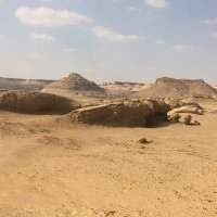 Qaroun protected area, Fayoum
