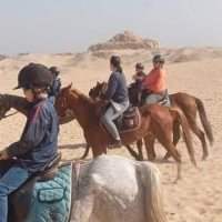 Balade à cheval dans le désert [COMPLET]