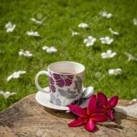 Pause-café New Cairo
