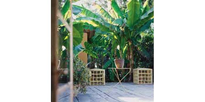 Pause-café Maadi