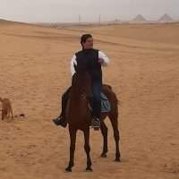 Balade à cheval dans le désert de Saqqarah