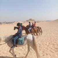 Balade à cheval dans le désert 