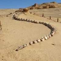 Journée à la Vallée des Baleines (Ouadi El Hitan)