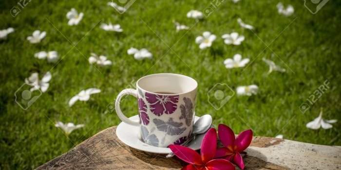 Pause-café New Cairo