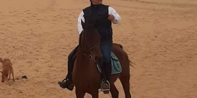Balade à cheval dans le désert de Saqqarah [COMPLET]