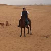 Balade à cheval dans le désert de Saqqarah