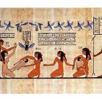 TOPO 7 à Zamalek : La médecine au temps des pharaons 