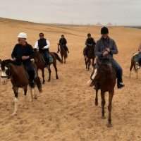 Balade à cheval dans le désert, suivie d'un déjeuner 