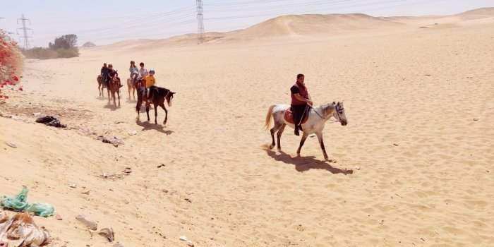 Balade à cheval 