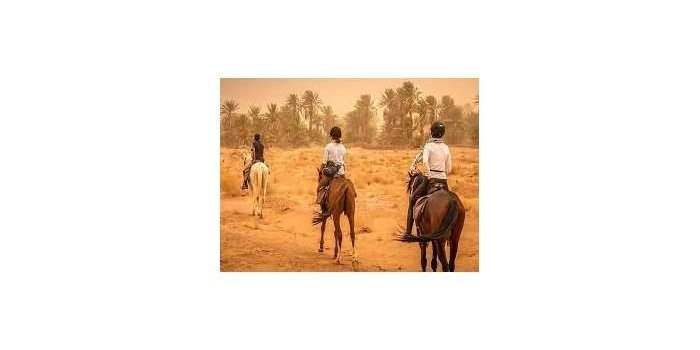 Balade à cheval dans le désert 
