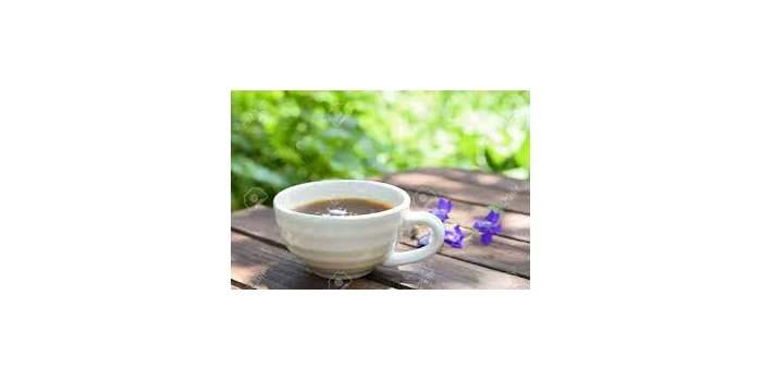 Pause-café Newcairo dimanche 9 mai