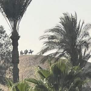 Balade à cheval dans le désert [COMPLET]