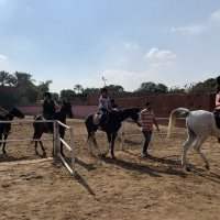 Initiation à l'équitation & balade tranquille