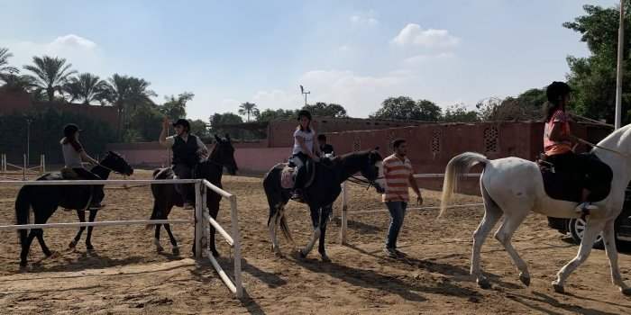 Initiation à l'équitation & balade tranquille